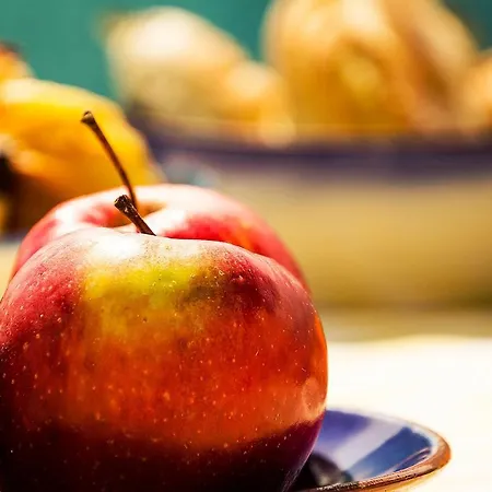 Lighthouse North - Da * Barra